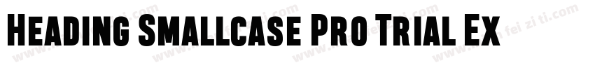 Heading Smallcase Pro Trial ExtraBo字体转换